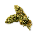 CBG Punch Ecopack Flowers Lucky Hemp