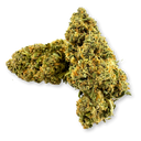 Lemon Kush Eco Pack
