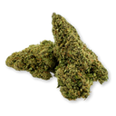 Pacchetto ecologico Granddaddy Purple