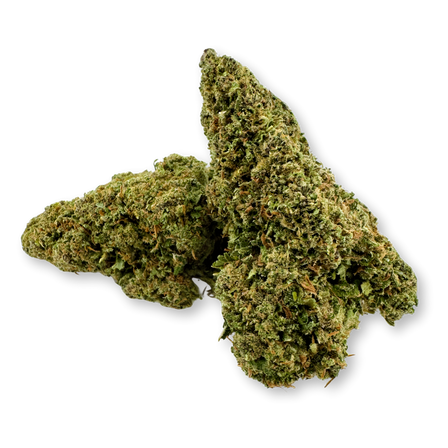 Pacchetto ecologico Granddaddy Purple