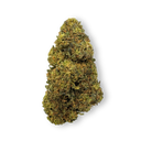 Tropical Haze Resti