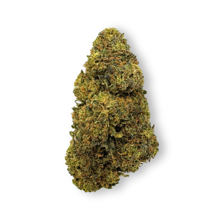 Tropical Haze Resti