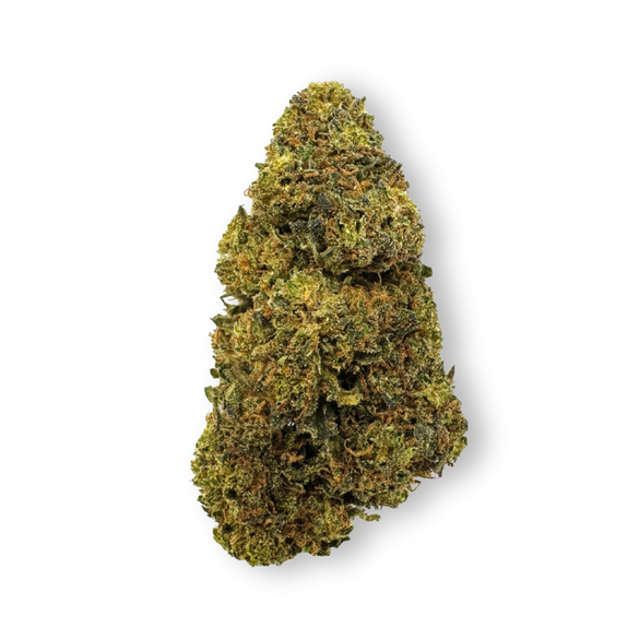 Tropical Haze Resti