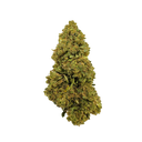 Confezione ecologica di Blueberry Haze