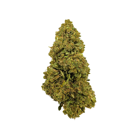 Confezione ecologica di Blueberry Haze