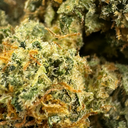 Pacchetto ecologico Cali Pop