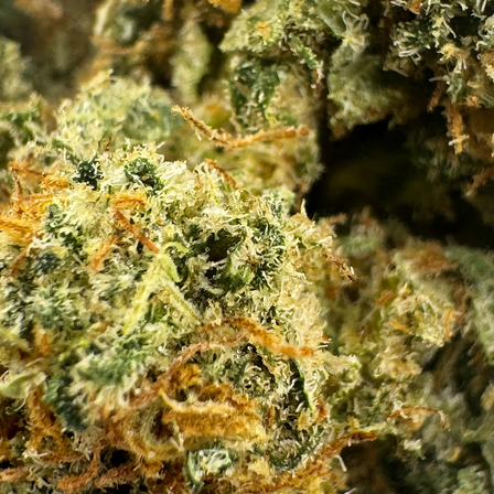 Pacchetto ecologico Cali Pop