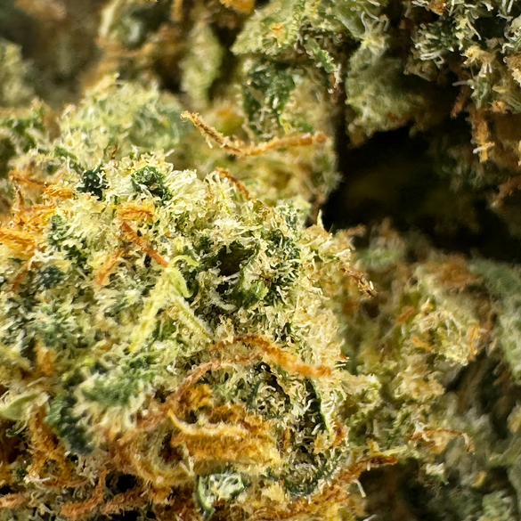 Pacchetto ecologico Cali Pop