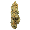 Orange Skunk Ecopack Flowers Lucky Hemp   