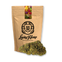 Tropical Haze Resti