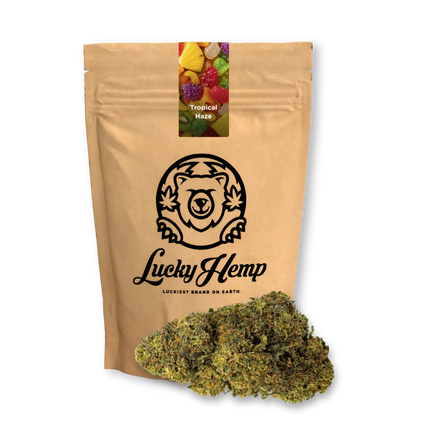 Tropical Haze Resti