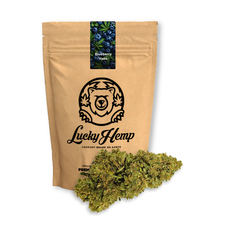 Confezione ecologica di Blueberry Haze