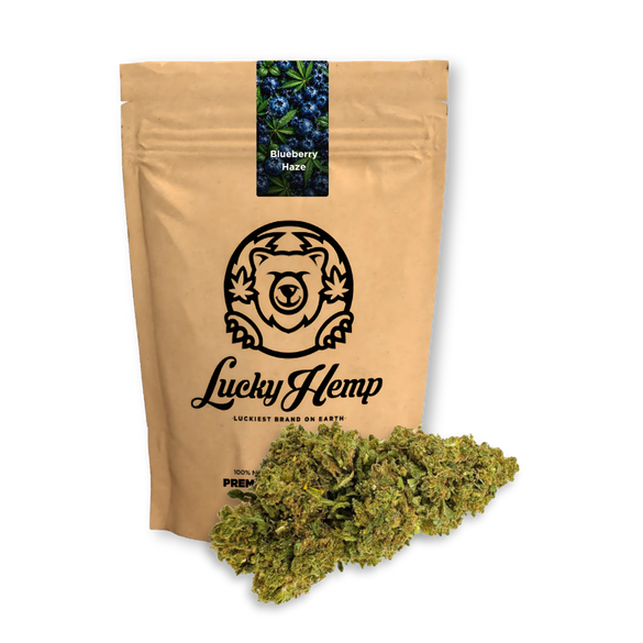 Confezione ecologica di Blueberry Haze