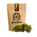 Banana Runtz Ecopack