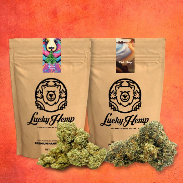 Pacchetto Premium Power