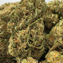 CBG Punch Ecopack