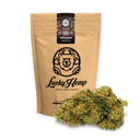 Harlequin Premium eco pack flowers Lucky Hemp   