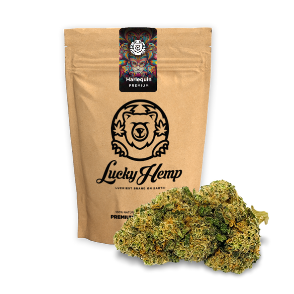 Harlequin Premium eco pack flowers Lucky Hemp   